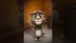 Buci-Buci😀-Tom