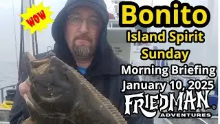 Kids Fish FREE Sunday on Island Spirit! + Epic Bonito, Surf Halibut & Mexico Long Range Updates