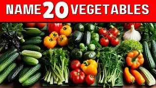 Vegetable Picture Quiz | Engaging Activity for Kids