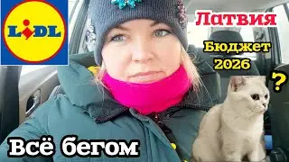 Латвия Что можно купить за 2 евро?Lidl голодными не оставит Новинки🔥 Вы видели? Бюджет на 2026 год 🫣