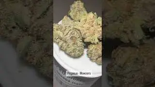 Pegasus - Wowzers Review (This post is for educational purposes)  #420 #review   RATE: 3/5