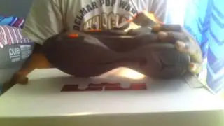 NIKE zoom soldier VI black/total orange