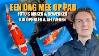 Mee op pad met TheKoiPage 🐟 | Koi afleveren, shooten & meer!