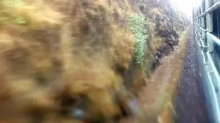 Kokan experience in the rain