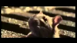 BaitSafe&trade; Pest Control - July 11 product release in Adelaide