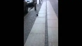 Sony xperia z1 timeshift slowmotion test