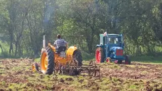 Malpas Yesteryear Rally 2023 - Vintage Tractor Working Field