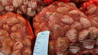 Exploring the Bronx Fish Market The 2nd Largest Fish Market In The World 