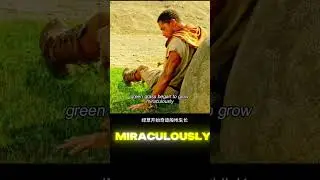#movierecap #actioncinema #narrativebreakdown #filmessay #filmesnovos #viralshorts #mrrecap