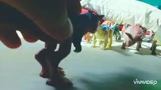 Disney dinosaur toystyle 