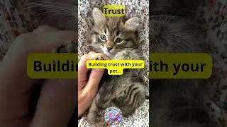 How to Build Trust with Your Pet: Every Second is Worth It! ⏳ #animalintelligence