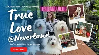 True love at neverland huskydog cafe  Bangkok Thailand 🇹🇭 my first international solo trip part#1