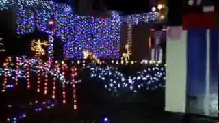 2013 Diblin Christmas Lights - Gainesville, FL