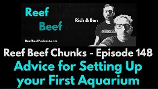 Advice for Setting Up your First Aquarium - Reef Beef Chunks