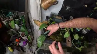Удаляйте плавающие растительные остатки и примеси с помощью поверхностного скиммера