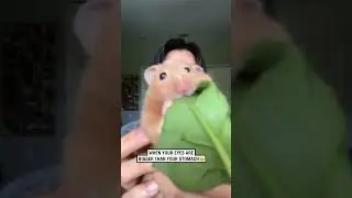 Hamster vs Spinach Leaf 🤣(🎥: Collab)