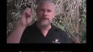 kakadu juice [PL]