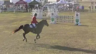 Ron Zabala & Wundermaske CIC 3 Star SJ