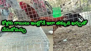 కోళ్లకు గాబులు ఇంట్లోనే ఇలా తక్కువ ఖర్చుతో చేసుకోవచ్చు#cvsfarmsandagriculture #aseel #poultryfarming