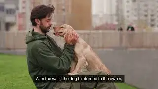 How Can You Monetize an On-Demand Dog Walking App?