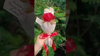 DIY Gift ideas for Special one ❤️#shorts #rose #craft #handmade