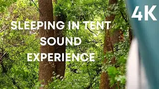 SLEEP IS THE BEST MEDITATION! 20 minutes power nap with real heavy rain on tent sound in the forest!