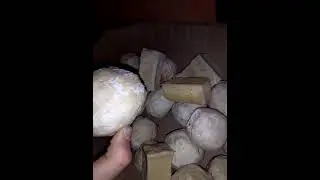 Мыло холодным способом из смальца. Результат. / Или Ещё один способ отдыха).