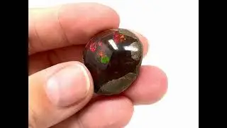 Ethiopian Shewa Opal Ref. 20787 (Polished Chocolate Opal)