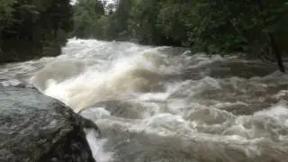 Oselva 2005 storflom