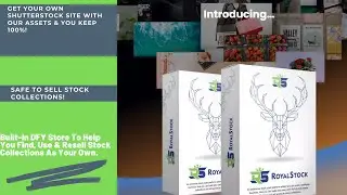 Review Royalstock demo Video By Neil Napier