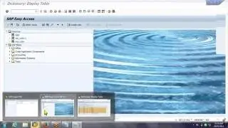 SAP BW 7.3 Training Tutorials - Part 1