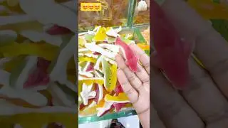 Why these colorful sharks are joyous? #shortsvideos #shorts_video #shortvideo #littlesharks #short