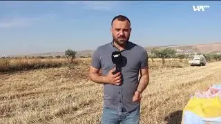 حكومة الإنقاذ بريف إدلب تحدد سعر شراء القمح من المزارعين بنسب لم ترضهم