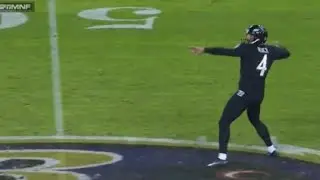 NFL Punter Passing Highlights