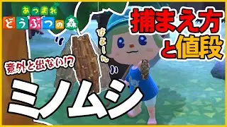 【あつ森】ミノムシの出現時間と場所・捕まえ方・値段・解説・飾る【あつまれどうぶつの森AnimalCrossing】釣り方捕まえ方
