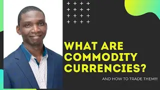 WHAT ARE COMMODITY CURRENCIES?