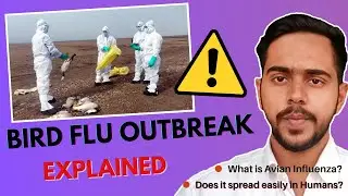 Bird Flu OutBreak||What is Avian Influenza||Cause||Origin||How Bird Flu spread's?|| (Explained)!
