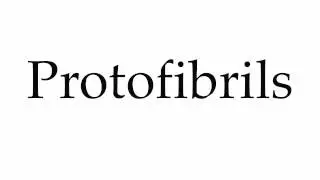 How to Pronounce Protofibrils