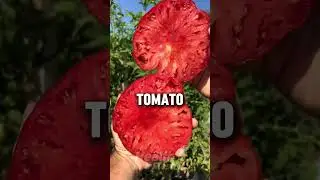 11 Surprising Fruit Facts You&rsquo;ve Never Heard Before!!!