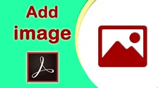 How to insert an image in a pdf document using Adobe Acrobat Pro DC