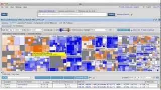 IPA Downstream Effects Analysis