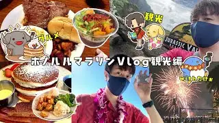【ハワイvlog】グルメと観光を最高に満喫したホノルルマラソン4泊6日の旅withたけぉ。観光編【ホノルルマラソン】#ハワイ #ホノルル