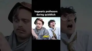 hogwarts professors during quidditch