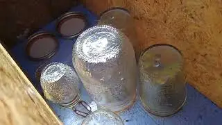 See Condensation Inside Beehive