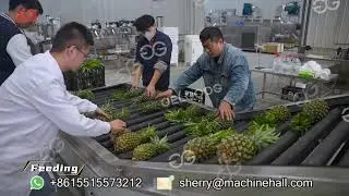 Fruit Grading System Image Processing