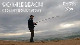 Отчёт о состоянии пляжа 90 Mile Beach. Пятница, 7 ноября.