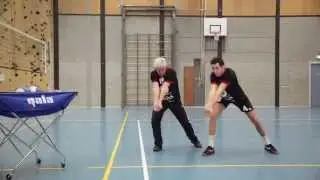 Prins VCV Servicepass