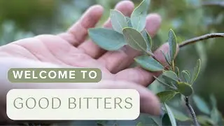 Welcome to Good Bitters  | Holistic Wellness Solutions