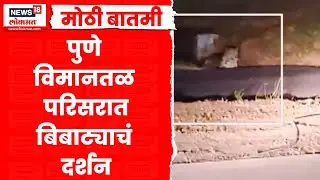 Pune Bibtya News | पुणे विमानतळ परिसरात पुन्हा आढळून आला बिबट्या N18S