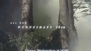fx American horror story roanoke forest teaser 
